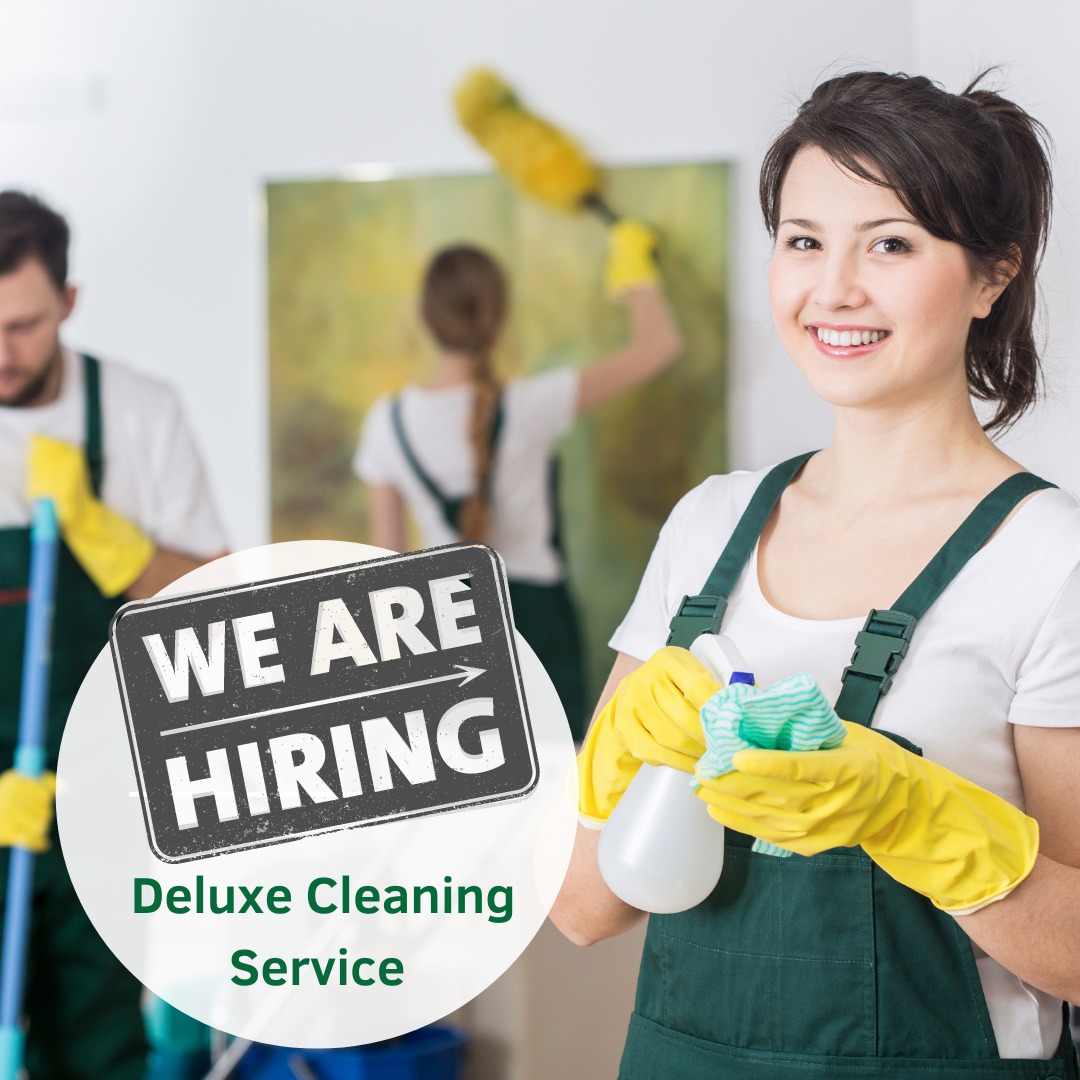 Deluxe cleaning London, Careers